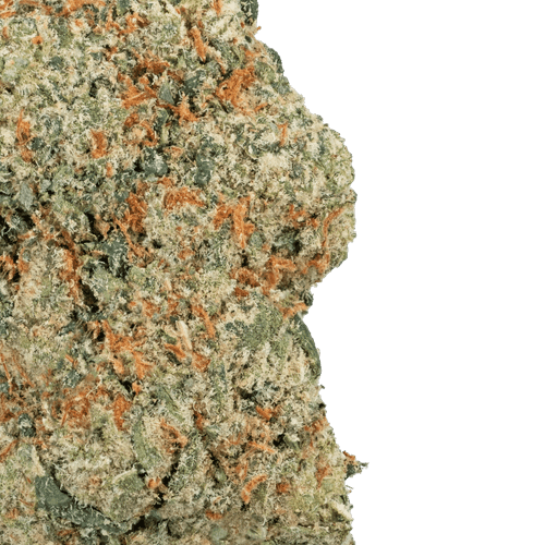 Apple Fritter – THCa Flower