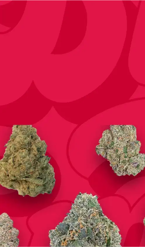 thca flower wholesale