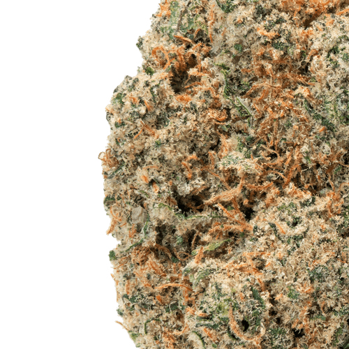 Purple Punch – THCa Flower