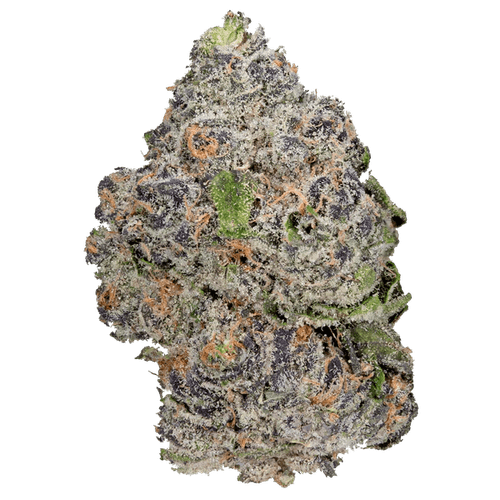 Aisle 13 Kush – THCa Exotic Flower