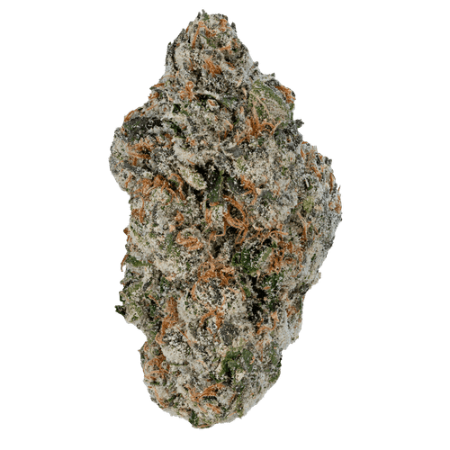 Cherry Zashimi – THCa Flower