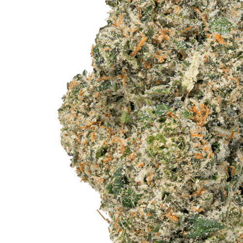 Gelato Cake – THCa Flower