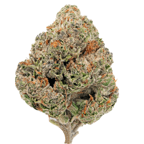 Gorilla Glue – THCa Flower