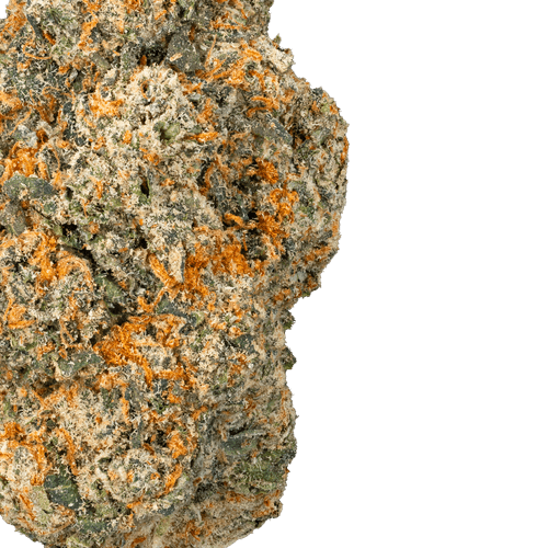 Orange Push Pop- THCa Flower