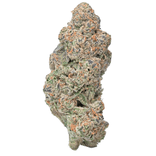 Glitter Bomb – THCa Flower