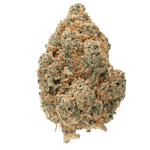 Purple Punch – THCa Flower