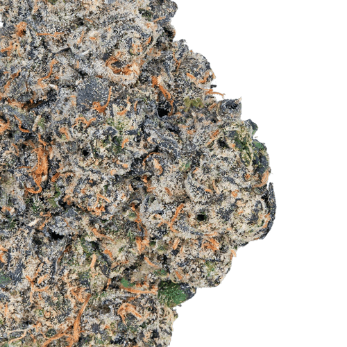 Lemon Cherry Gelato – THCa Flower